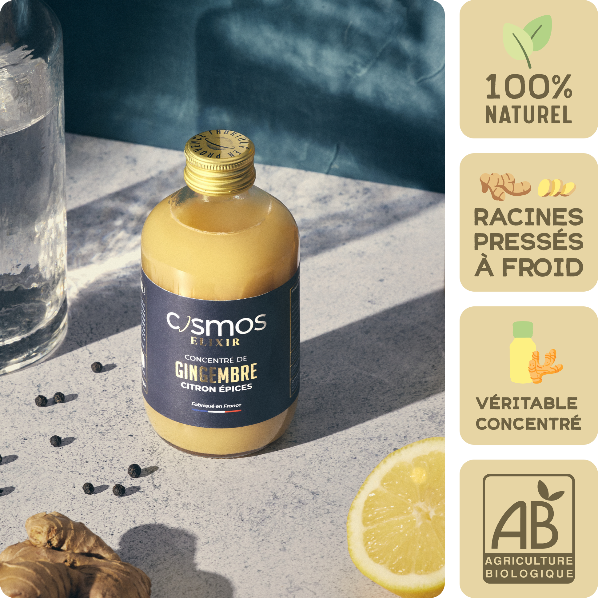 Cosmos Elixir | Concentr Gingembre Bio Citron pices | Grand Format Cosmos Elixir | Concentr Gingembre Bio Citron pices | Grand Format