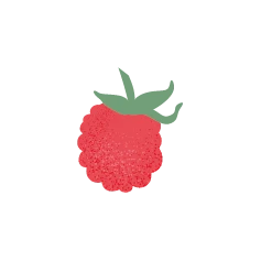 Purée de Framboise bio