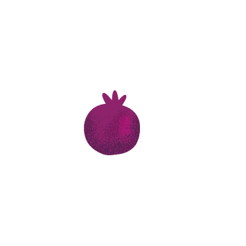 Purée de Myrtille bio