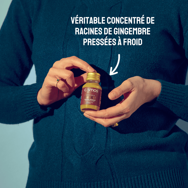 Extra Vitalité Mangue Gingembre details