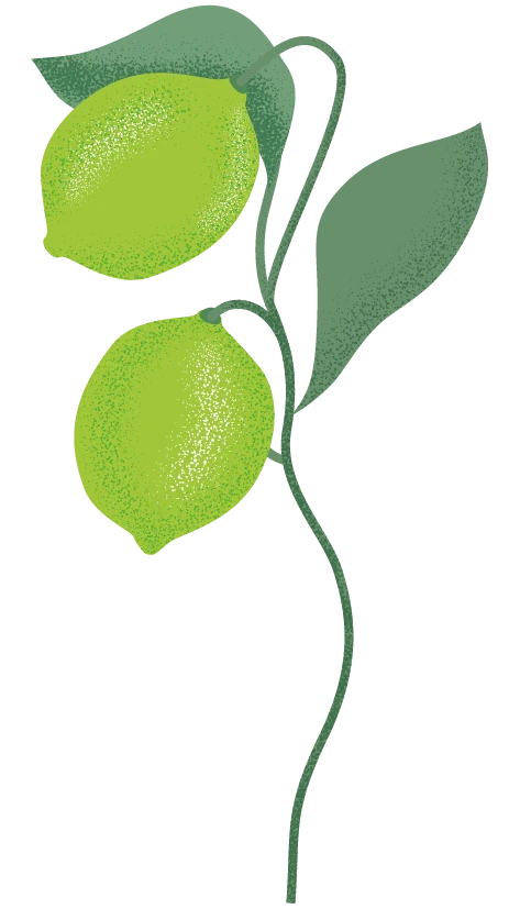 Jus de Citron Vert bio
