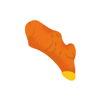 Curcuma bio