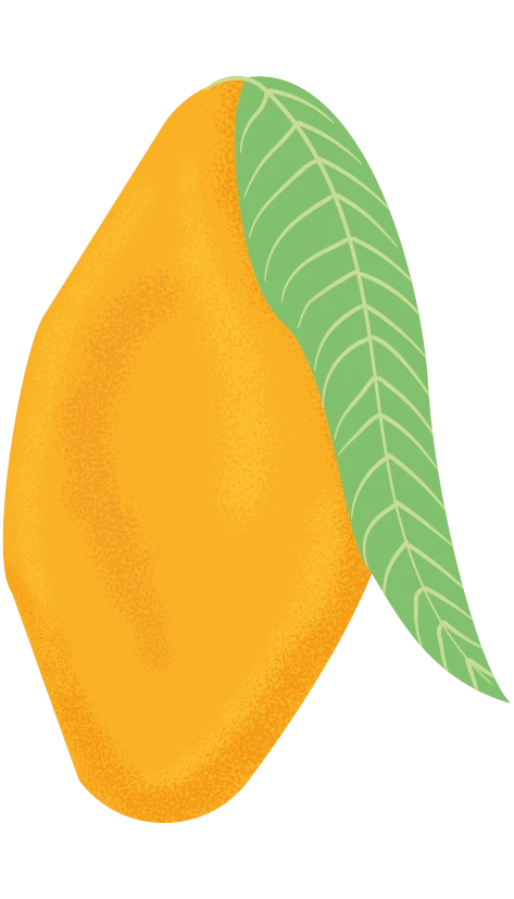 Purée de Mangue bio